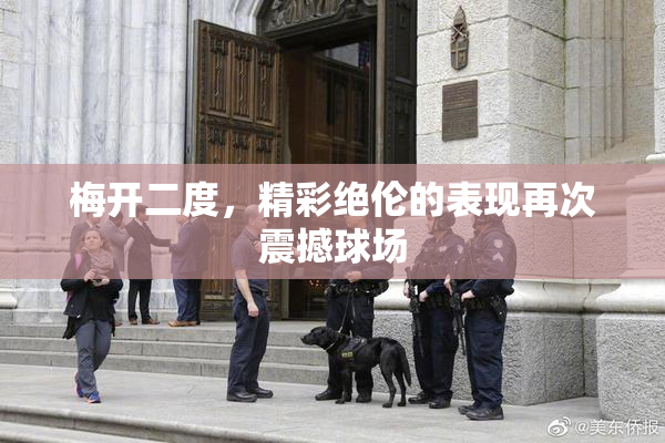 梅开二度，精彩绝伦的表现再次震撼球场