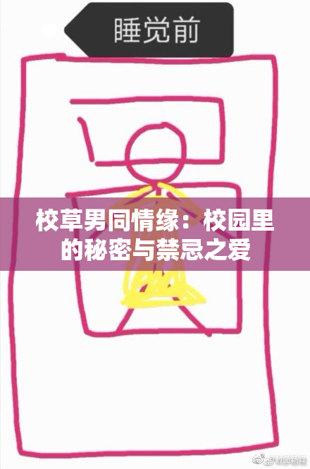 校草男同情缘：校园里的秘密与禁忌之爱