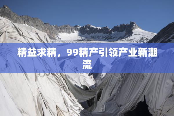 精益求精，99精产引领产业新潮流