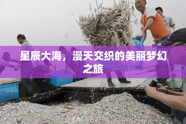 星辰大海，漫天交织的美丽梦幻之旅