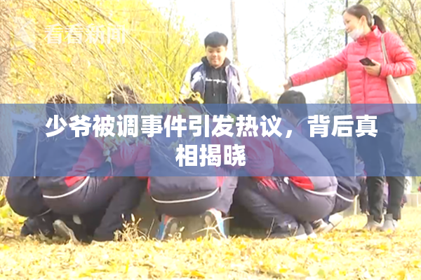 少爷被调事件引发热议，背后真相揭晓