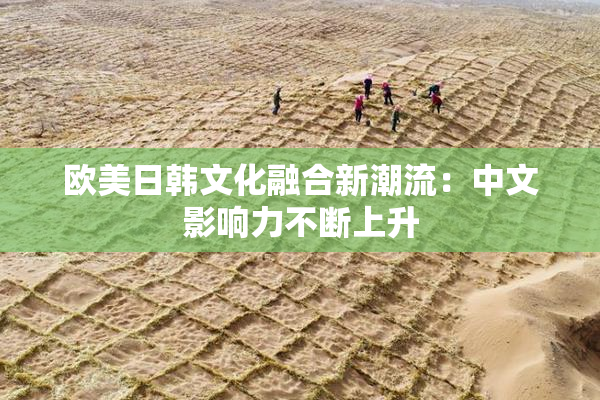 欧美日韩文化融合新潮流：中文影响力不断上升