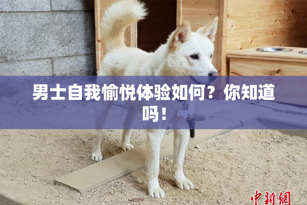 男士自我愉悦体验如何？你知道吗！