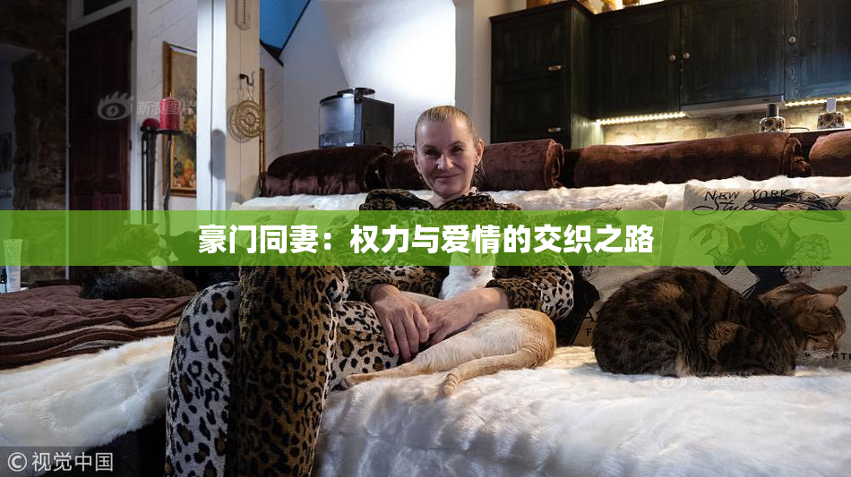 豪门同妻：权力与爱情的交织之路