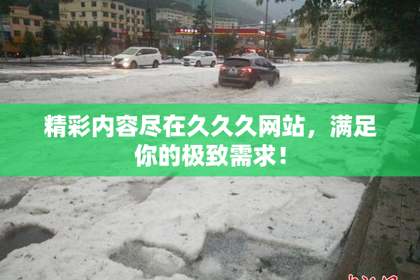 精彩内容尽在久久久网站，满足你的极致需求！