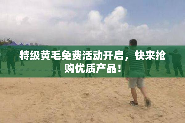 特级黄毛免费活动开启，快来抢购优质产品！