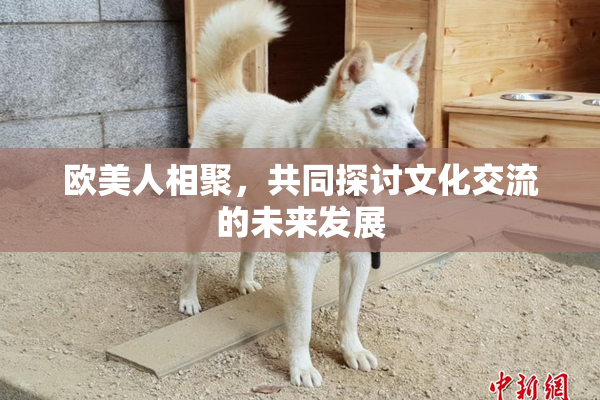 欧美人相聚，共同探讨文化交流的未来发展