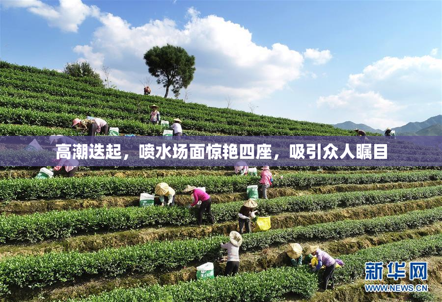 高潮迭起，喷水场面惊艳四座，吸引众人瞩目