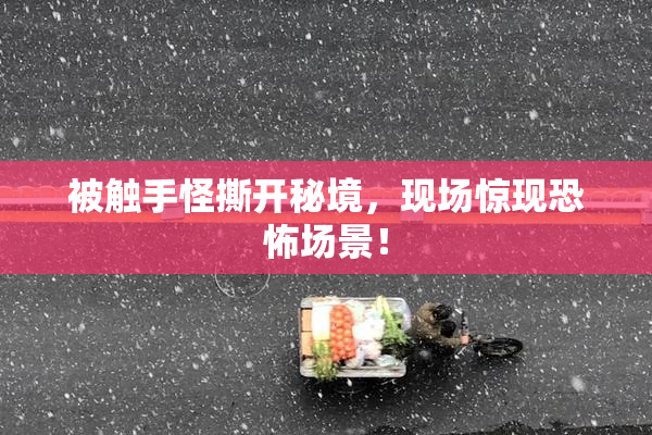 被触手怪撕开秘境，现场惊现恐怖场景！