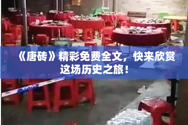 《唐砖》精彩免费全文，快来欣赏这场历史之旅！