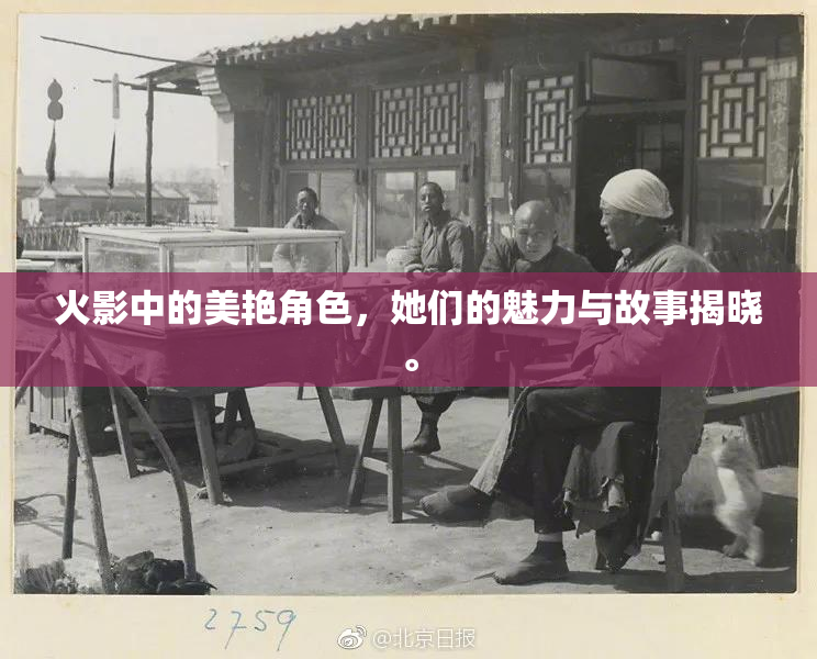 火影中的美艳角色，她们的魅力与故事揭晓。