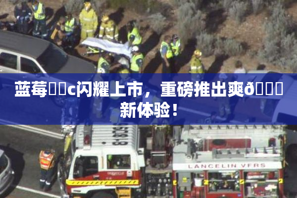 蓝莓❌‌c闪耀上市，重磅推出爽🔞新体验！