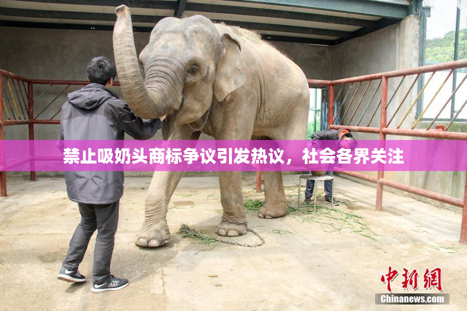 禁止吸奶头商标争议引发热议，社会各界关注