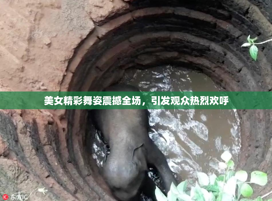 美女精彩舞姿震撼全场，引发观众热烈欢呼