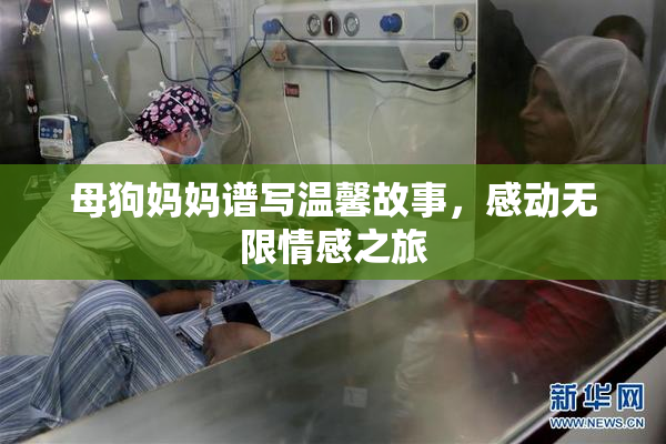 母狗妈妈谱写温馨故事，感动无限情感之旅
