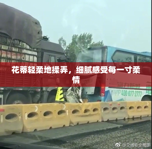 花蒂轻柔地揉弄，细腻感受每一寸柔情