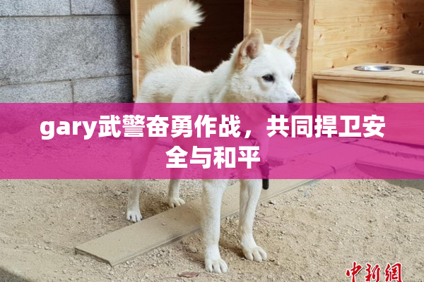 gary武警奋勇作战，共同捍卫安全与和平