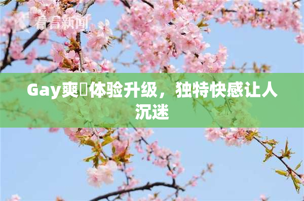 Gay爽擼体验升级，独特快感让人沉迷