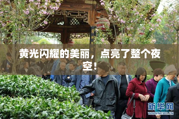 黄光闪耀的美丽，点亮了整个夜空！
