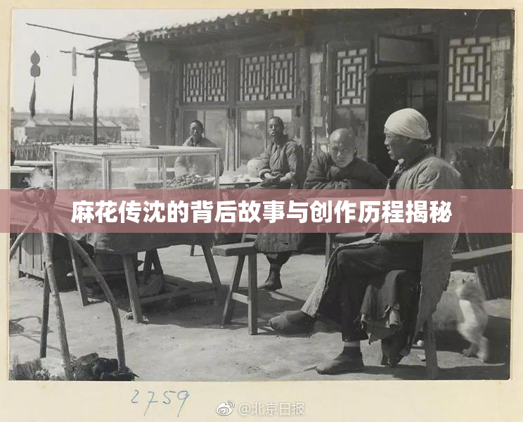 麻花传沈的背后故事与创作历程揭秘
