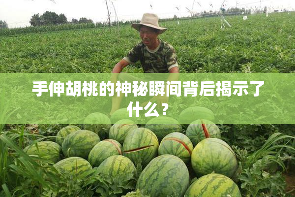 手伸胡桃的神秘瞬间背后揭示了什么？