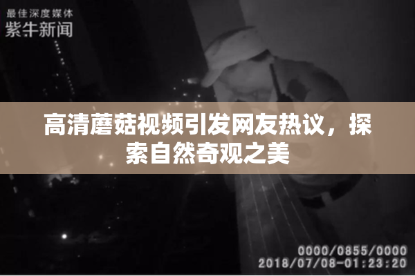 高清蘑菇视频引发网友热议，探索自然奇观之美