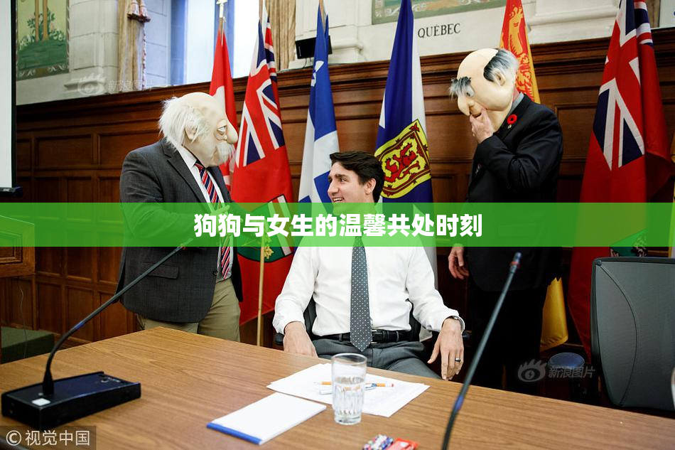 狗狗与女生的温馨共处时刻