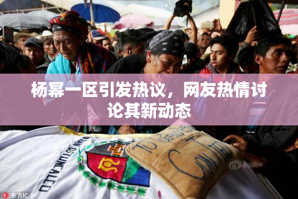 杨幂一区引发热议，网友热情讨论其新动态