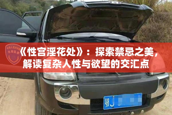 《性宫淫花处》：探索禁忌之美，解读复杂人性与欲望的交汇点