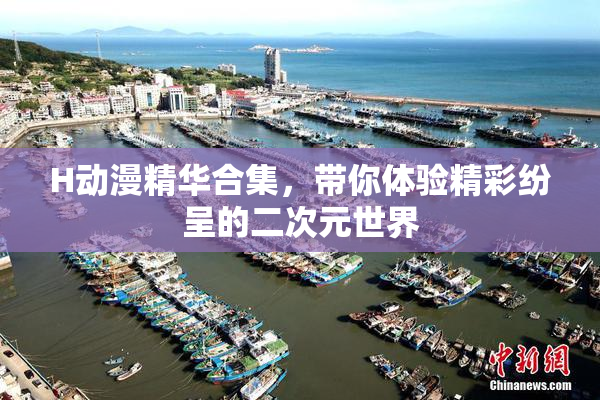 H动漫精华合集，带你体验精彩纷呈的二次元世界