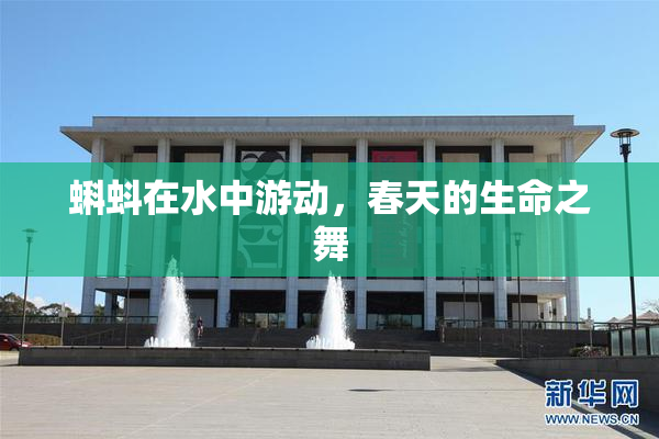 蝌蚪在水中游动，春天的生命之舞