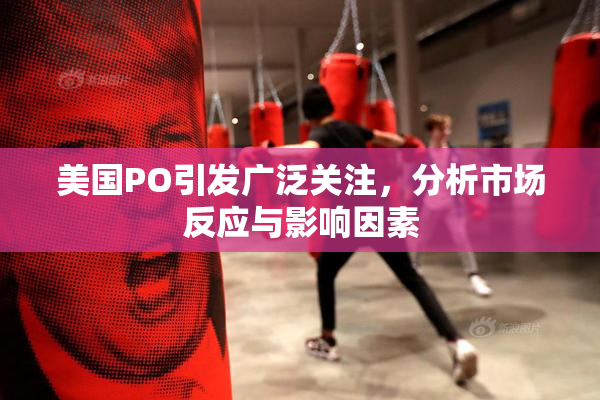 美国PO引发广泛关注，分析市场反应与影响因素
