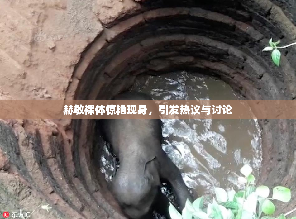 赫敏裸体惊艳现身，引发热议与讨论