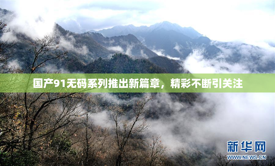 国产91无码系列推出新篇章，精彩不断引关注