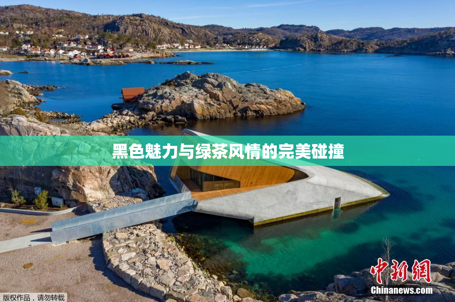 黑色魅力与绿茶风情的完美碰撞
