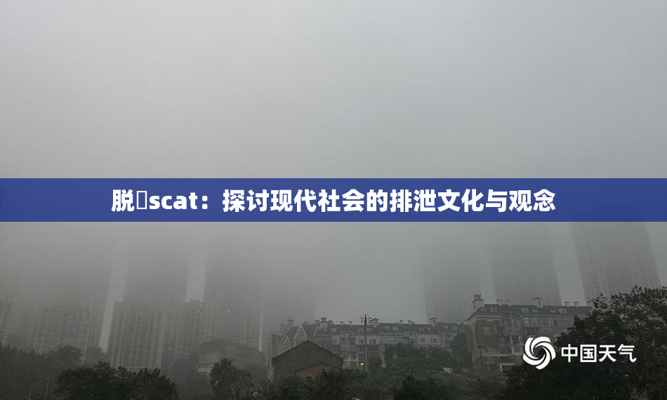 脱糞scat：探讨现代社会的排泄文化与观念