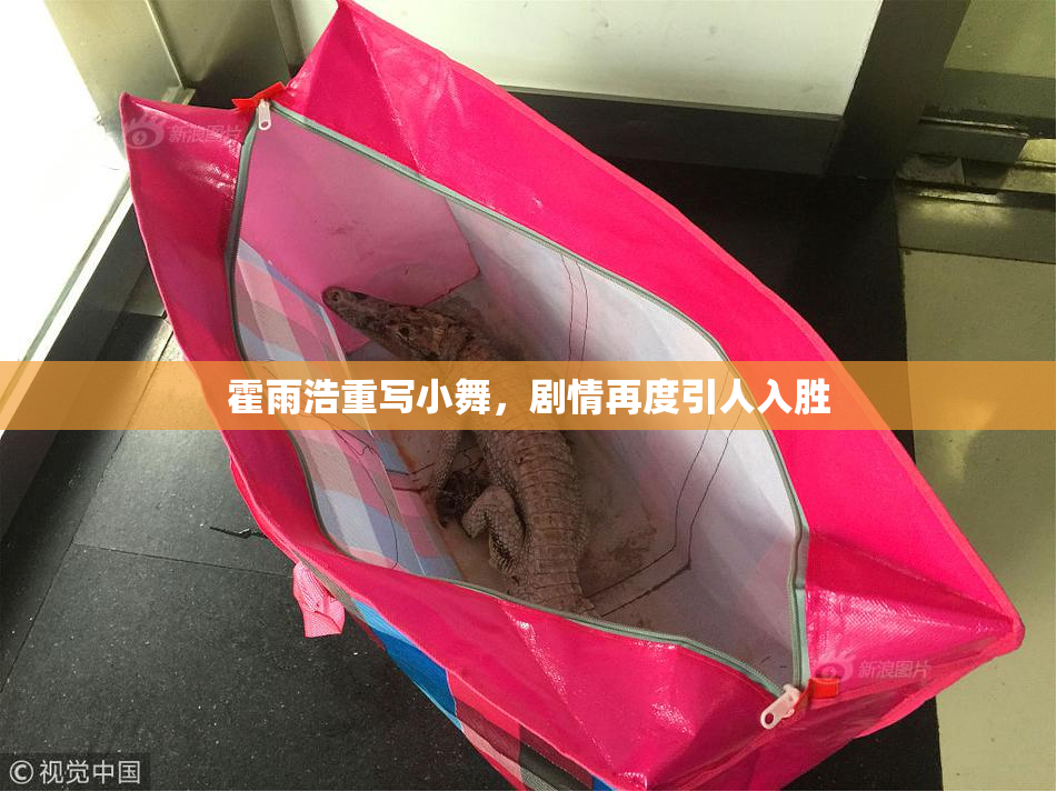 霍雨浩重写小舞，剧情再度引人入胜