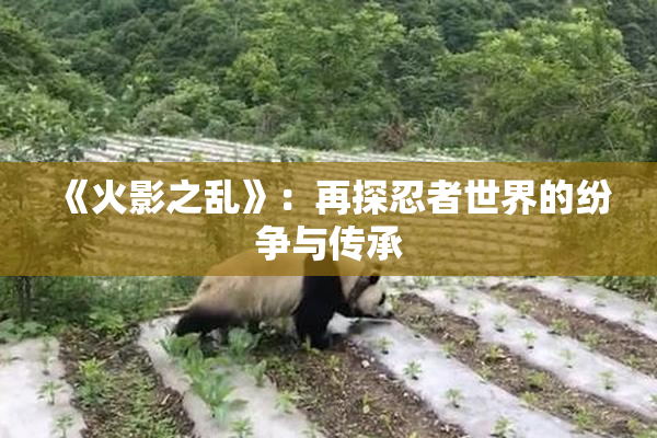 《火影之乱》：再探忍者世界的纷争与传承
