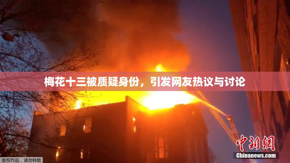 梅花十三被质疑身份，引发网友热议与讨论
