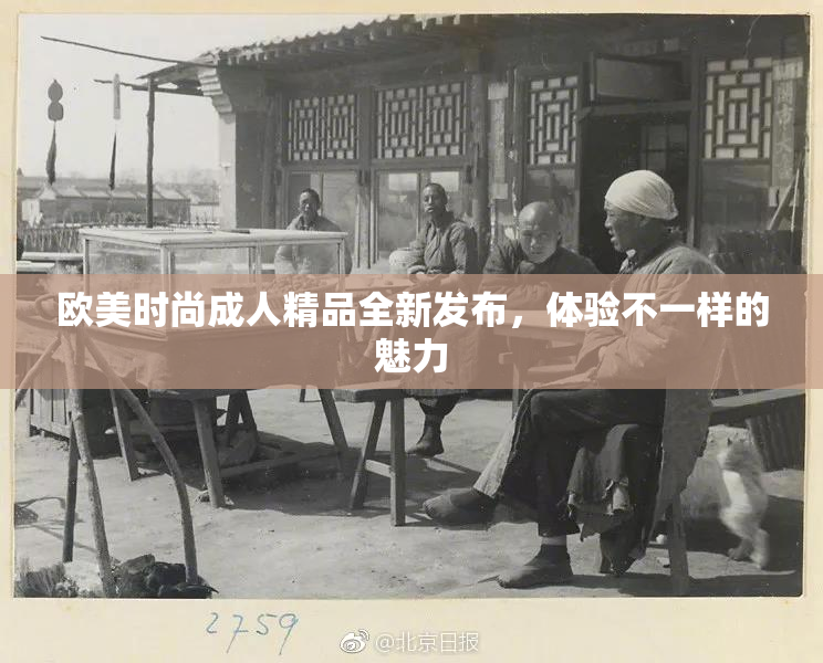 欧美时尚成人精品全新发布，体验不一样的魅力