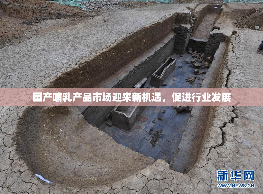 国产哺乳产品市场迎来新机遇，促进行业发展