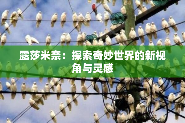 露莎米奈：探索奇妙世界的新视角与灵感
