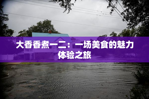大香香煮一二：一场美食的魅力体验之旅