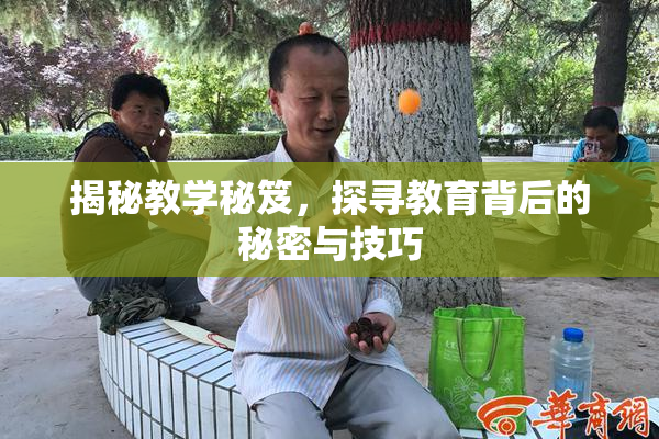 揭秘教学秘笈，探寻教育背后的秘密与技巧