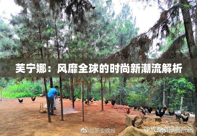 芙宁娜：风靡全球的时尚新潮流解析