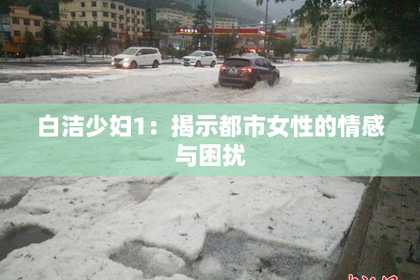 白洁少妇1：揭示都市女性的情感与困扰
