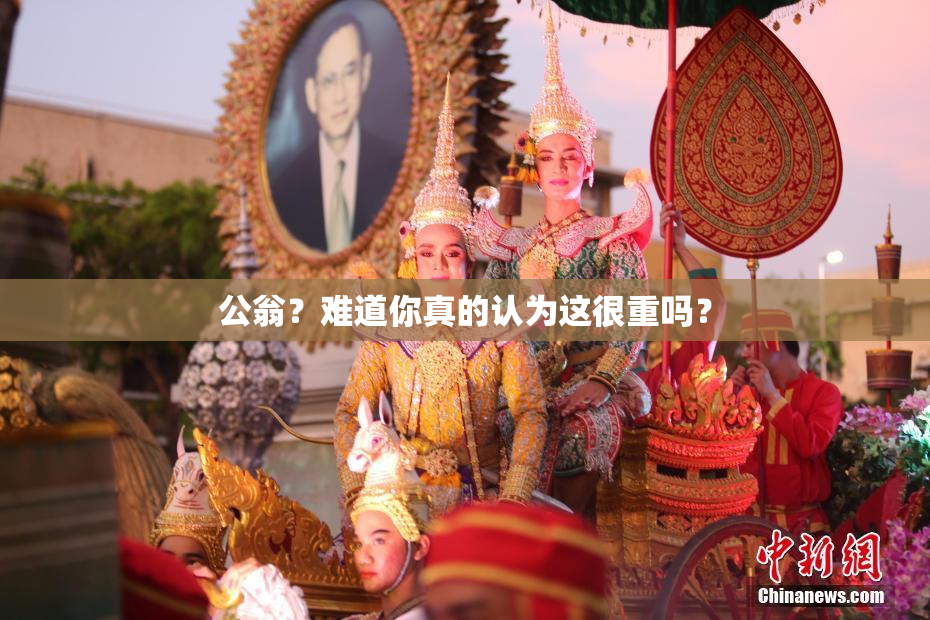 公翁？难道你真的认为这很重吗？