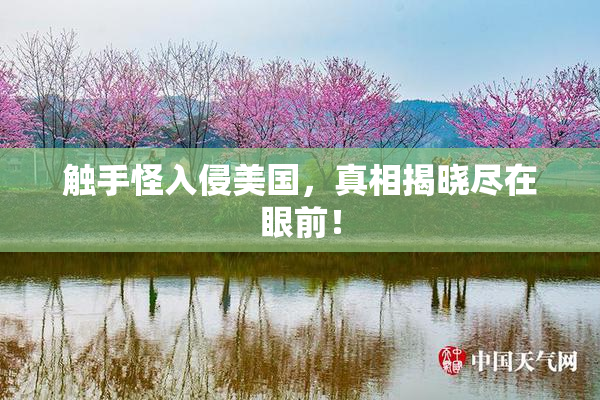 触手怪入侵美国，真相揭晓尽在眼前！