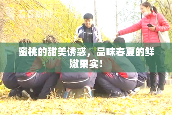 蜜桃的甜美诱惑，品味春夏的鲜嫩果实！