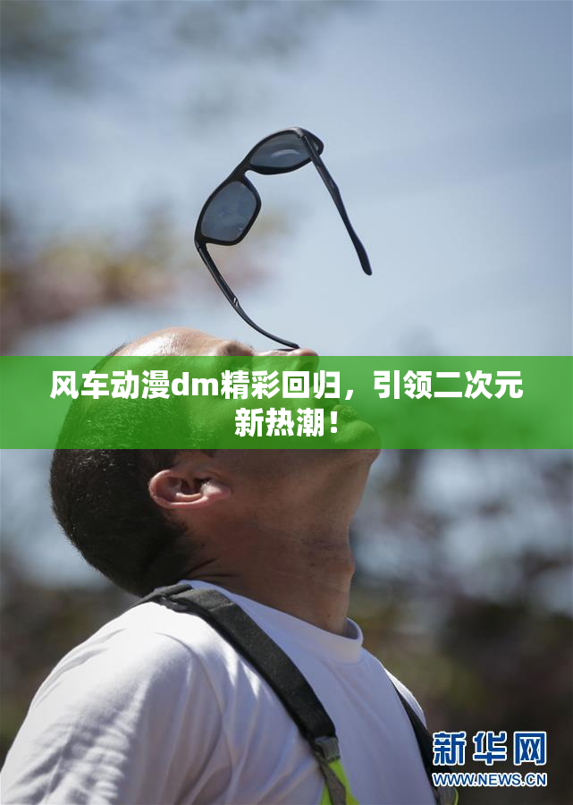 风车动漫dm精彩回归，引领二次元新热潮！